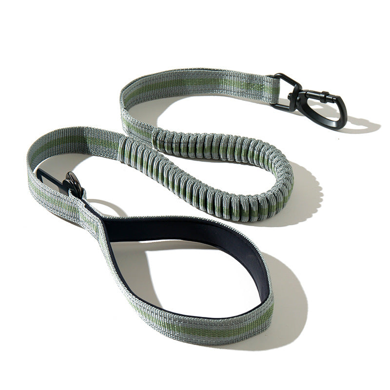 Fluorescent Retractable Dog Leash