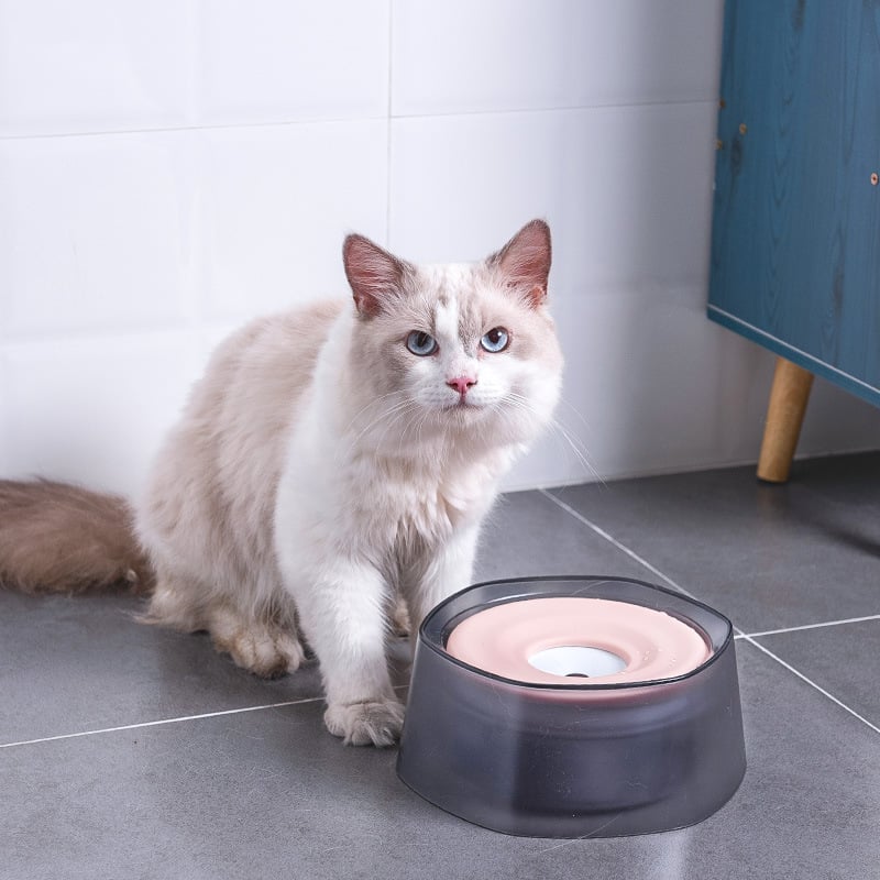 Splash-proof Drinking Bowl for Dogs and Cats