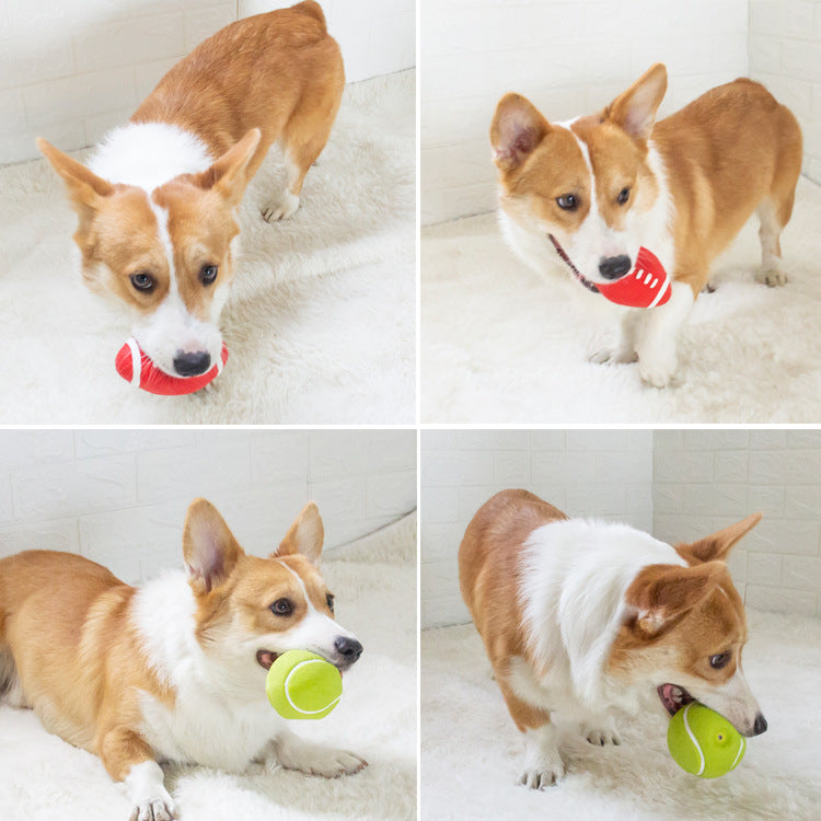 Latex Chew Toy