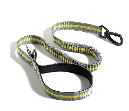 Fluorescent Retractable Dog Leash